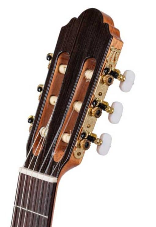 M20 headstock